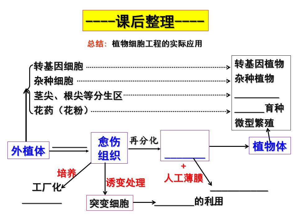 5dd4adfa30134aa19372111493106214.JPG