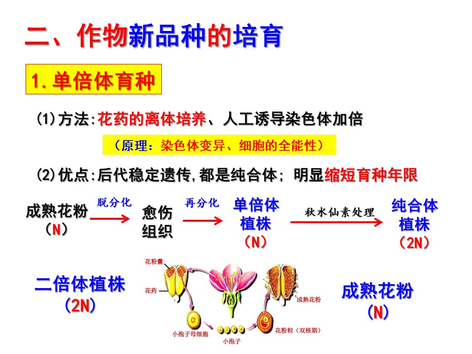 6b448eb23be849a7b8330544971de1b3.JPG