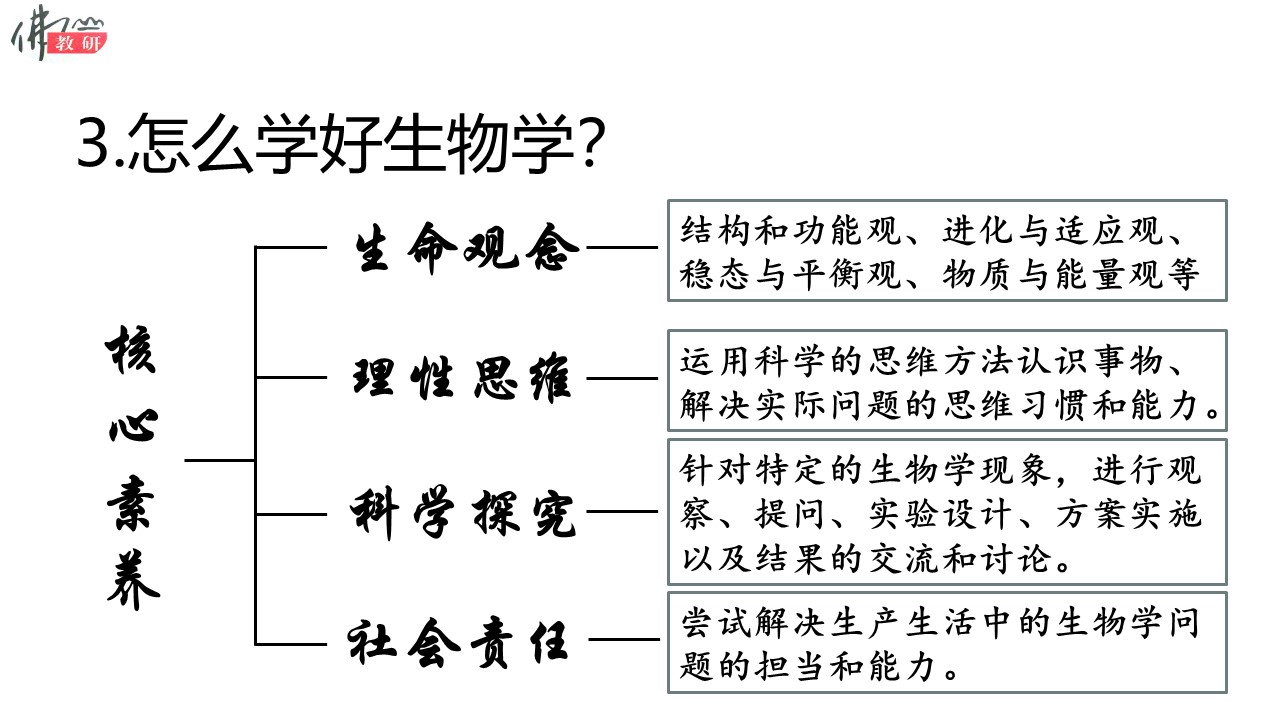 70e7fb2a943b4880ae80f211dbfda95c.JPG