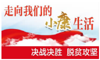 71ddcaa0188c48da9358ebc503a641a7.png