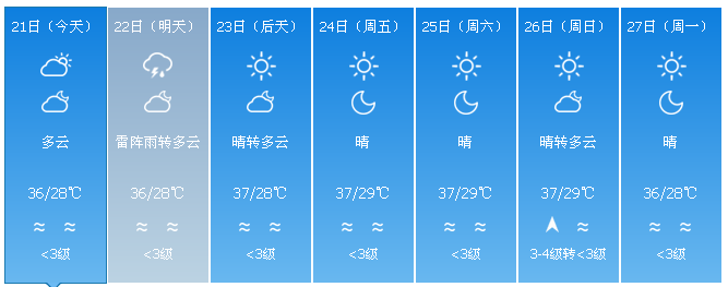 7972a815a2654215a175fa32f2315d23.png