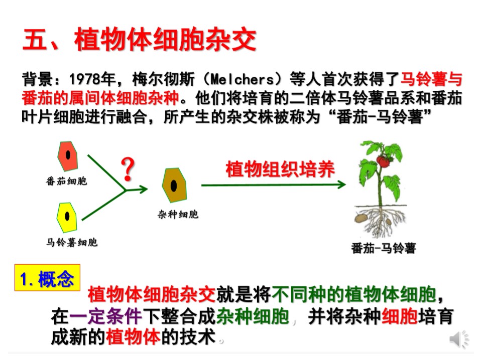 7cfe799cfa254039825aca6c03e31f05.JPG