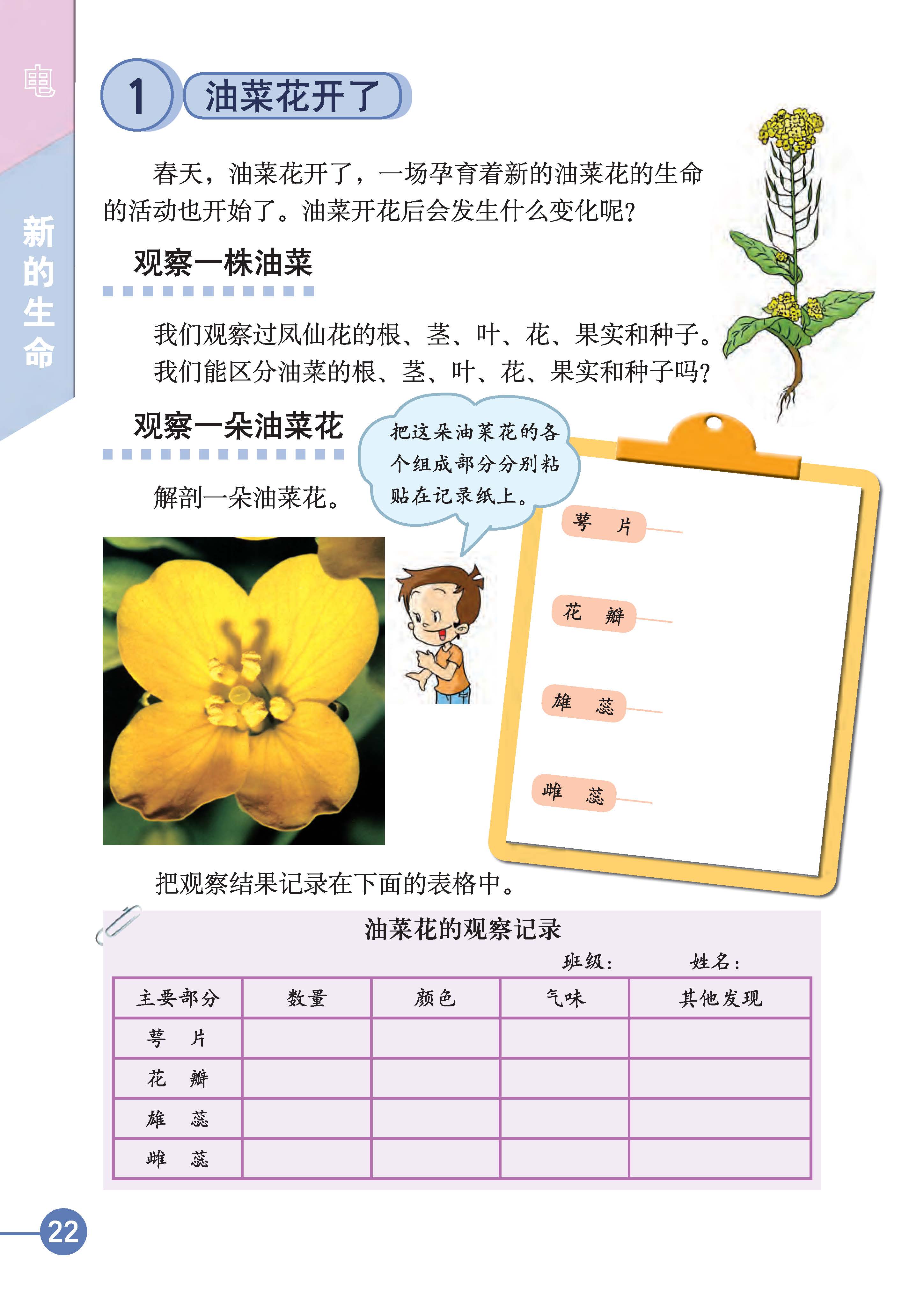 84bbbe0728364bc591b92f17c833c1c6.jpg