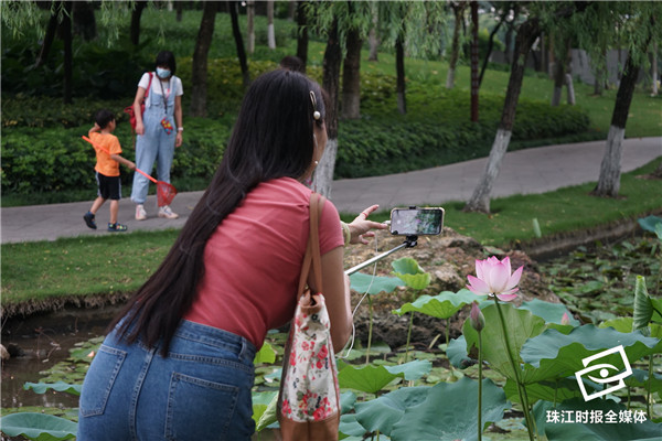 88a01be1331b4148af88a022d873bed4.jpg