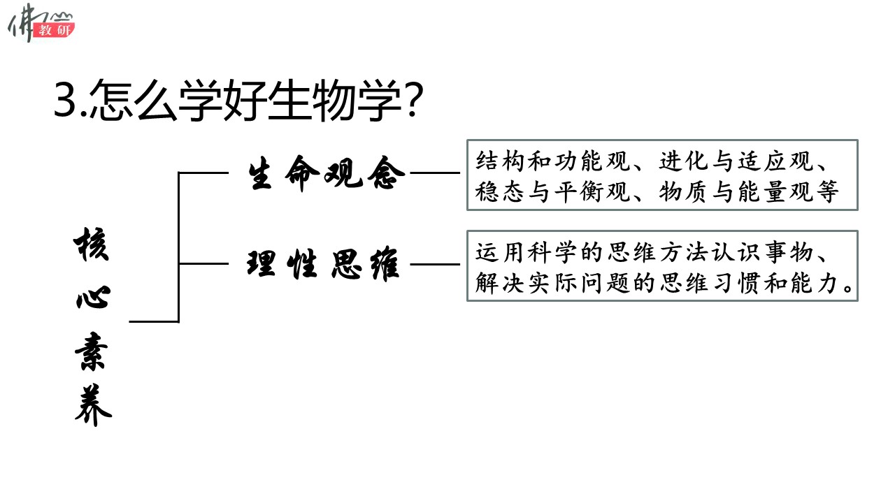 8d36097661e240e0be381b00f483b5ef.JPG