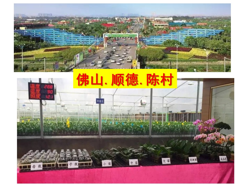 915cdcf0ff7146ab9e1dfd672665bfda.JPG