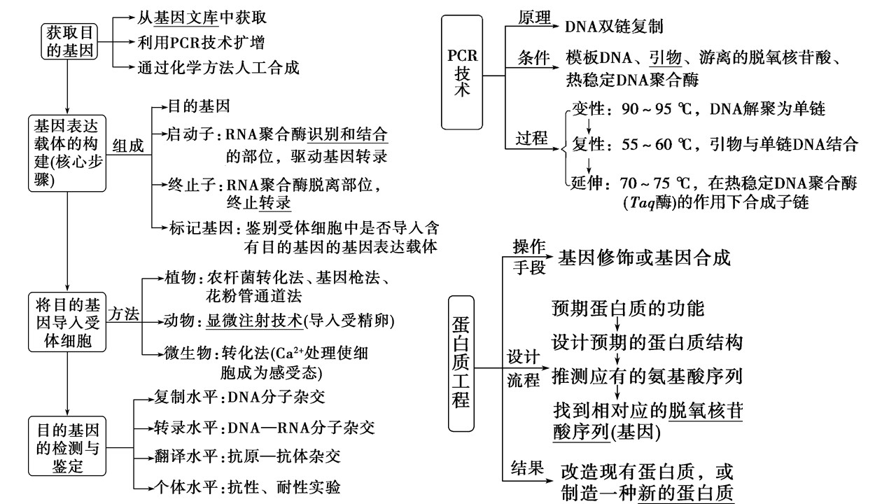9c0a49c4ef7f4950b4967afc7abc89db.JPG