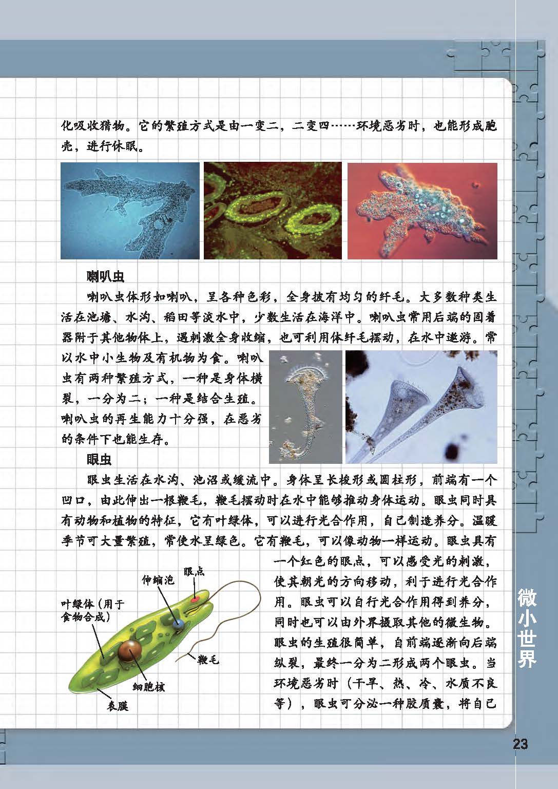 9ce1423748ab4cf29015880ac513c093.jpg