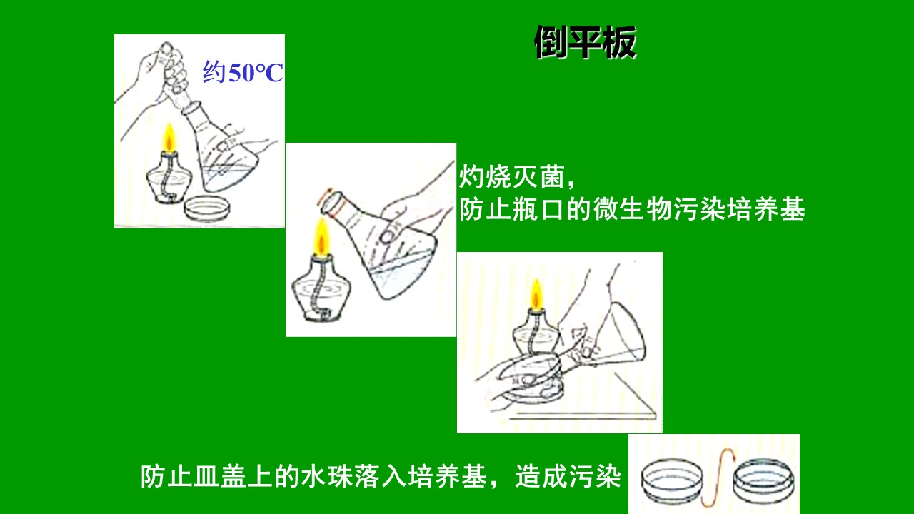 9dd994e2a70c4a509e5a6a14dab3fa47.JPG
