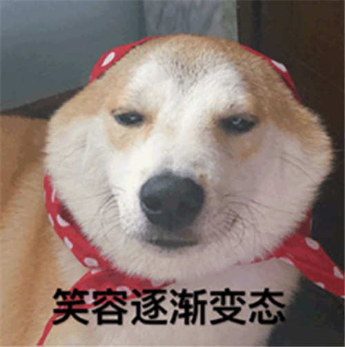 9f9341f70f1b4329802fe462fcbaae5f.jpg
