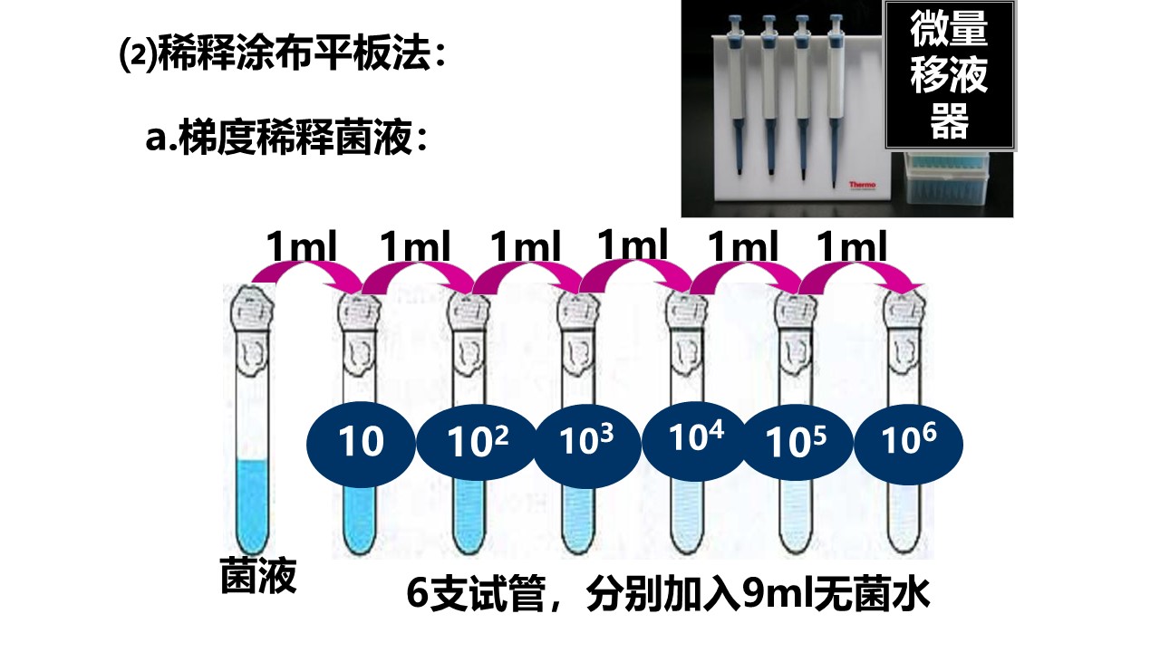 a0252db16b33478e84fad07fd5358d20.JPG