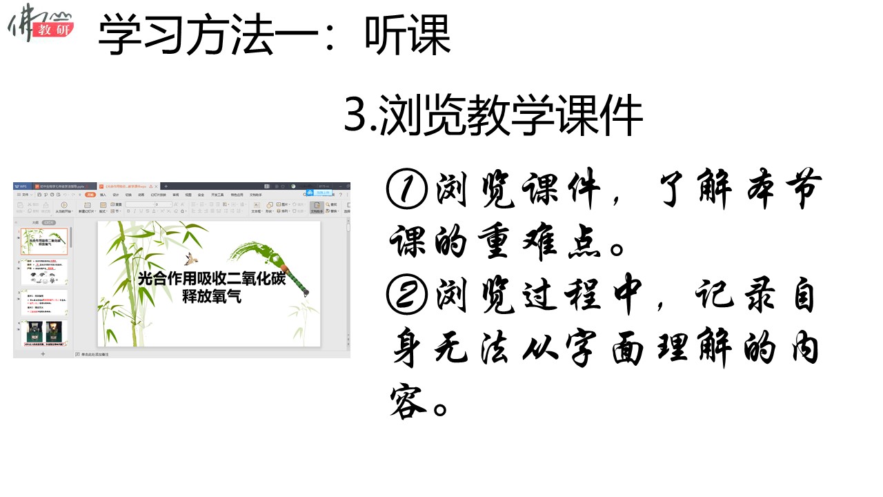 a08bf2e364b340e5a76311a7b153d7f4.JPG