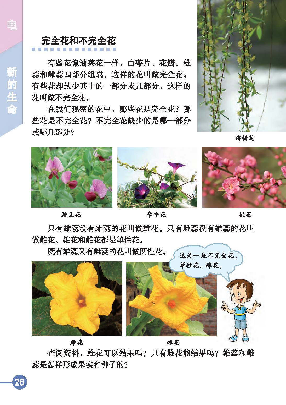 a1b25772a5fa499093881a40a8dd87b1.jpg