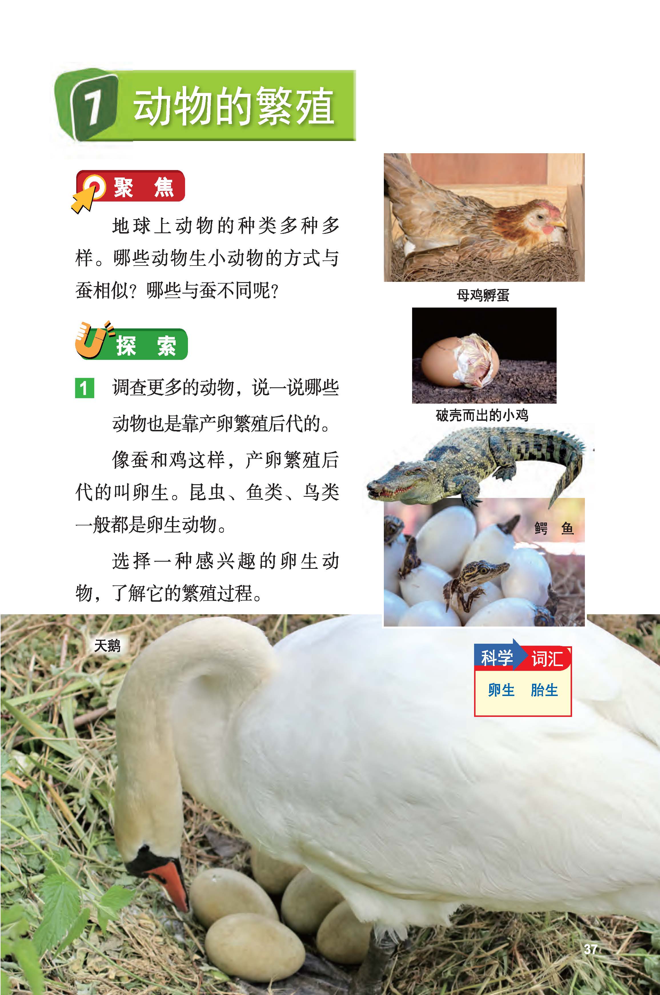 a1e65a5313e94b45bbbaeeae44ec7940.jpg