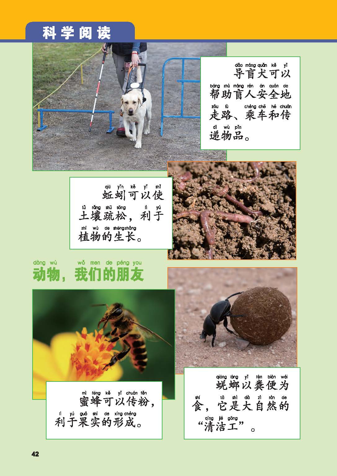 a260295c07b148708a8ce96592a79cf4.jpg