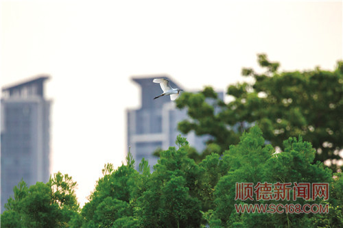 a320c071d20145598815d59dc1c8dd19.jpg