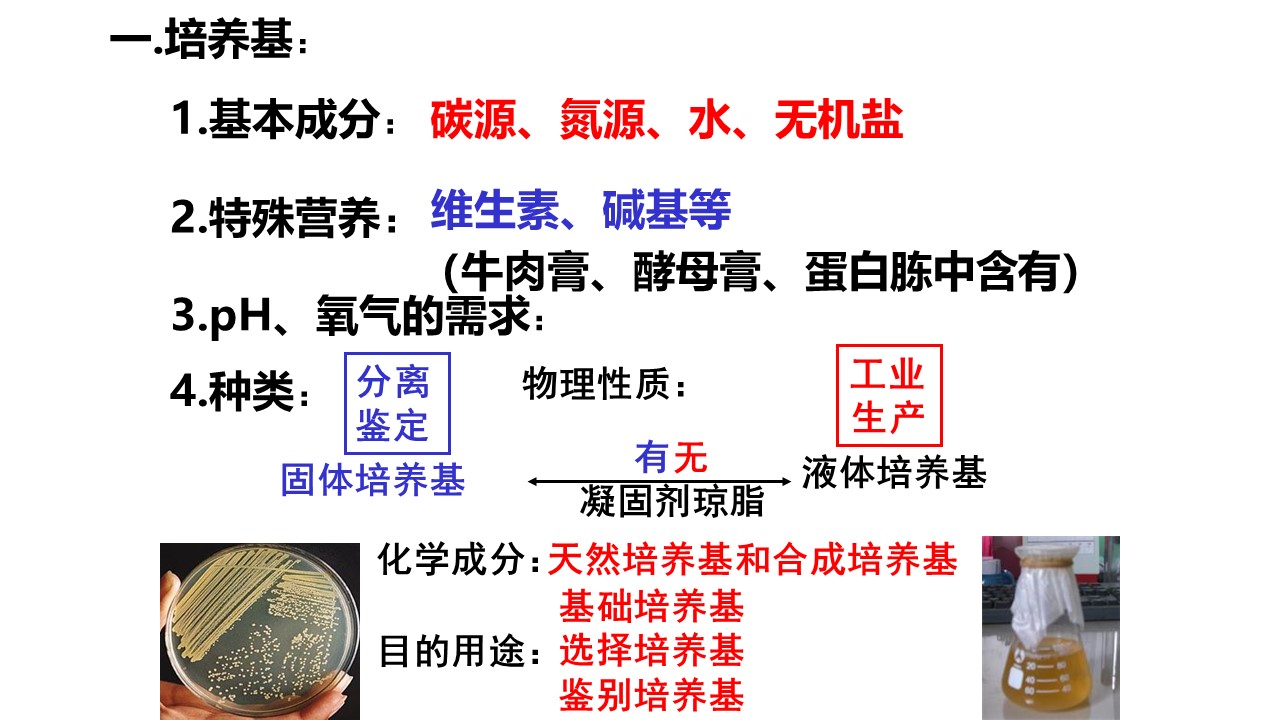 a42ff41de23547c39a010f0d32c16aa2.JPG