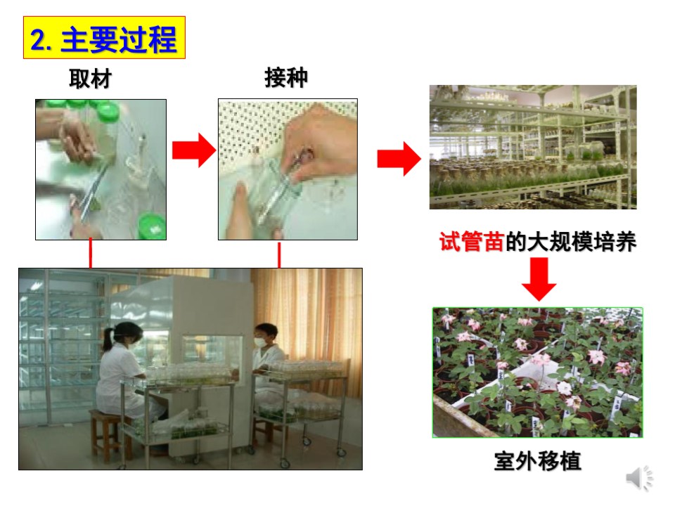 a4a87582cecb49168f99d60f502cb2a3.JPG