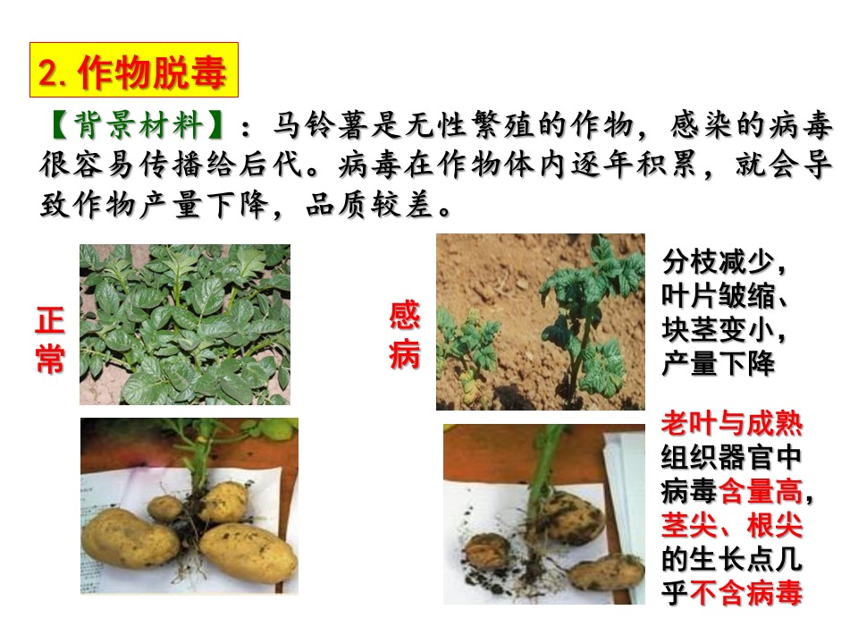 a7a289efa9d24bbcb6b7cf1c67badc95.JPG