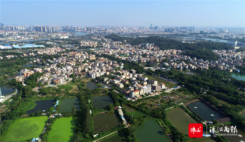 党群合力 共建马冈新城_顺德新闻网