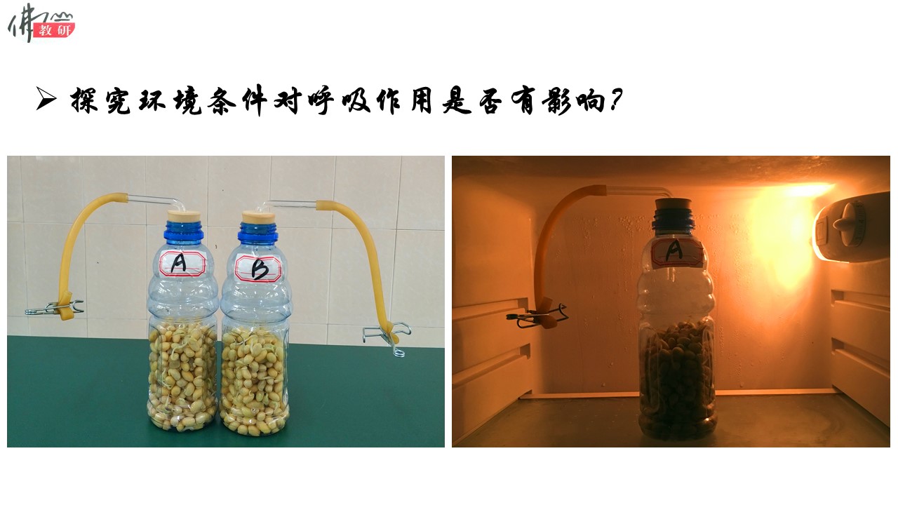 ae4944c032ea4fe4a8d5cc161a982312.JPG