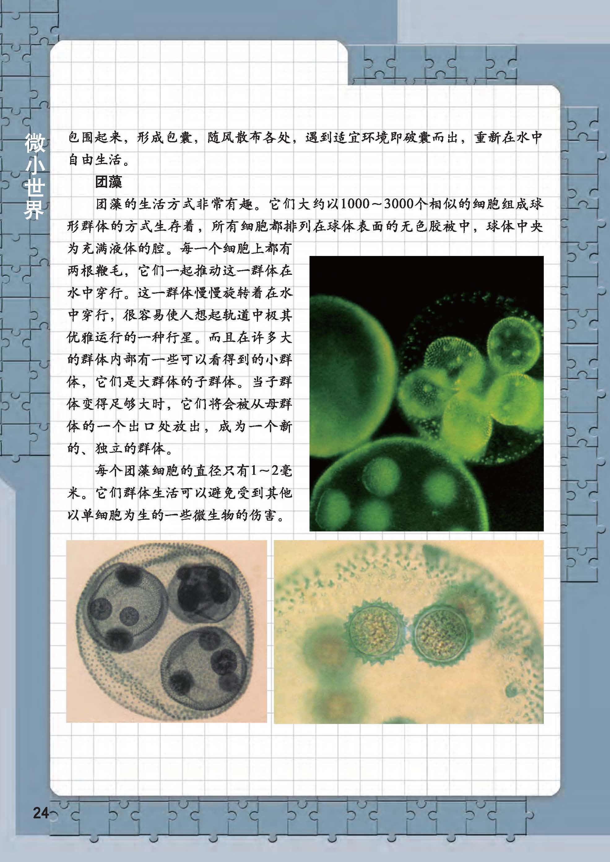 af5d6d06abbb408bbfeb6164953c08d1.jpg