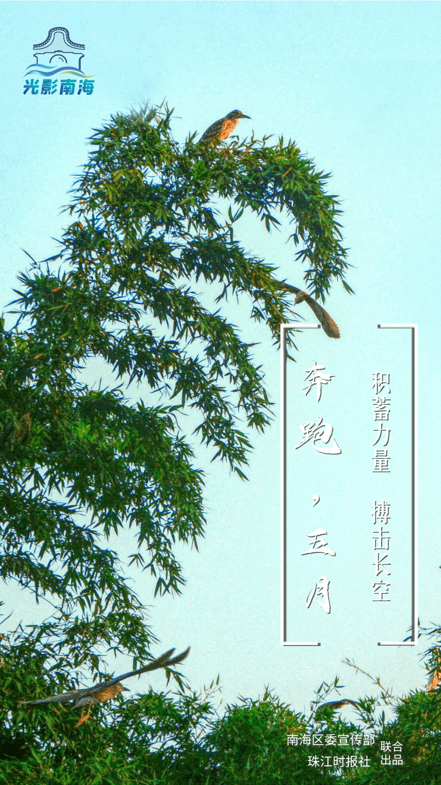 affd5c006ef0459b838de6a0c45cab04.png