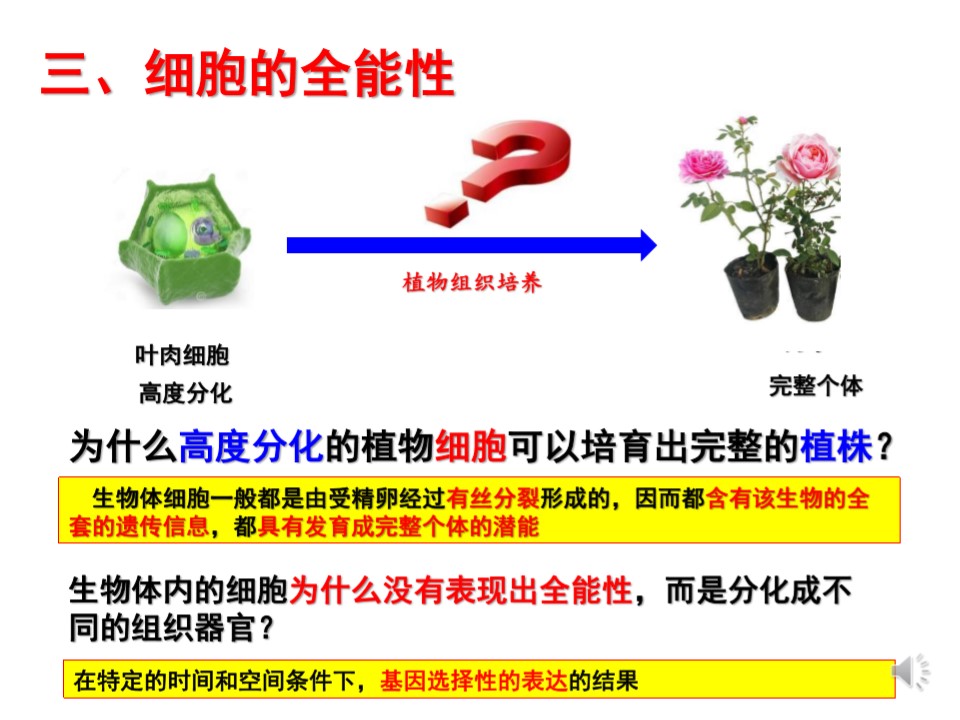 b2358f46fc294148ab167cf8888ba59e.JPG