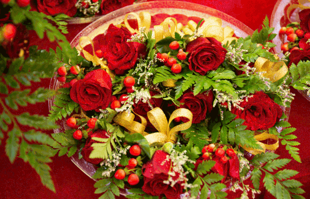b575ce56326944c3907046d935039593.gif