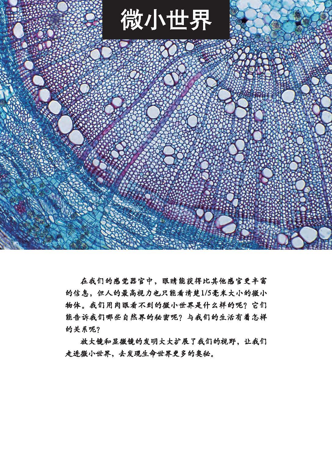 b5fffa35bde04718a93dd1ff4c61fe82.jpg