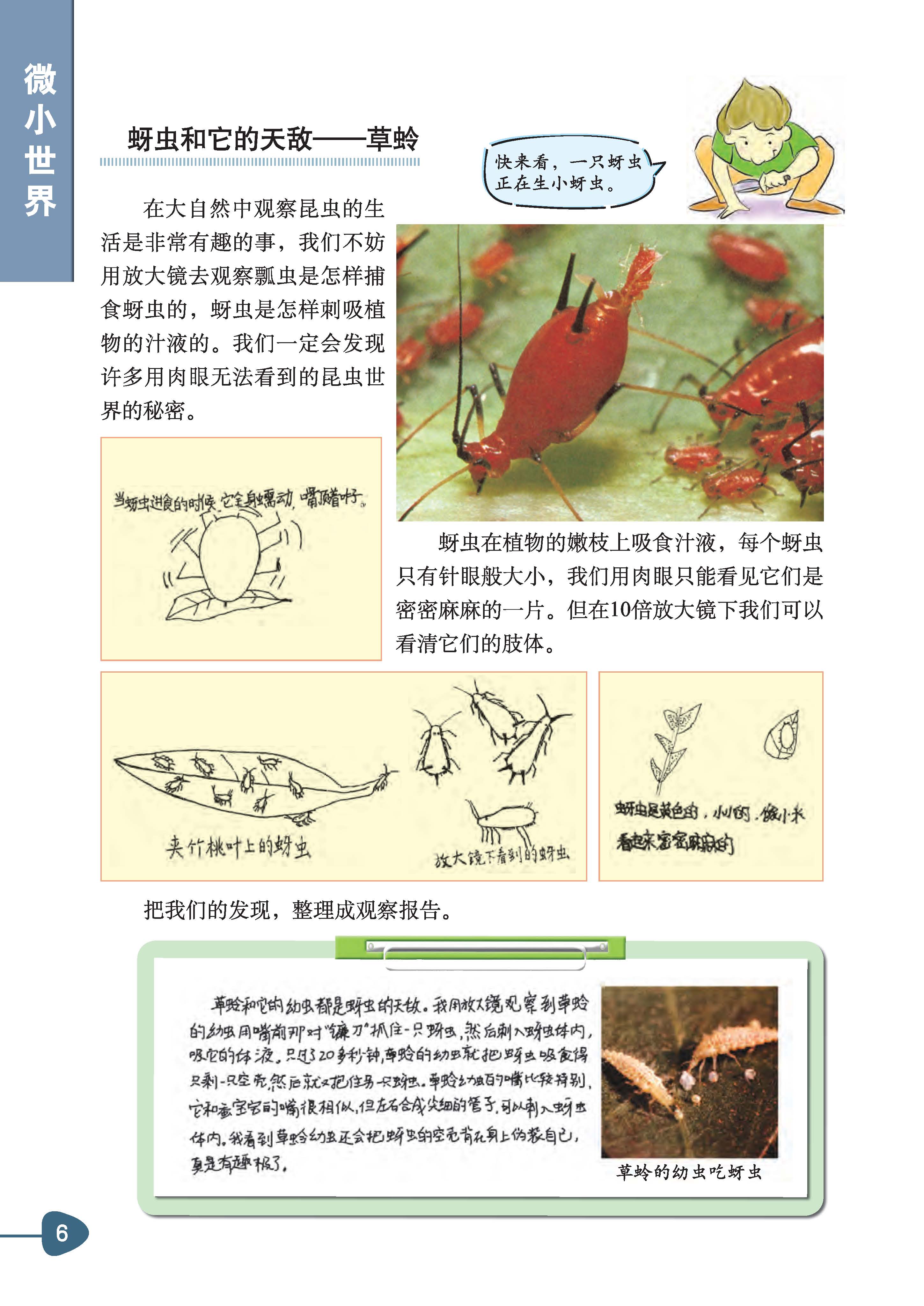 bceaceb580ae44d1ae159f043642ecdc.jpg