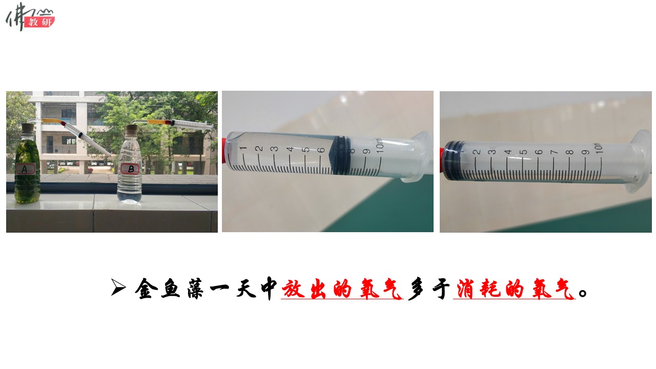 bd04a53b6a004b2c9f2d8981e1869324.JPG