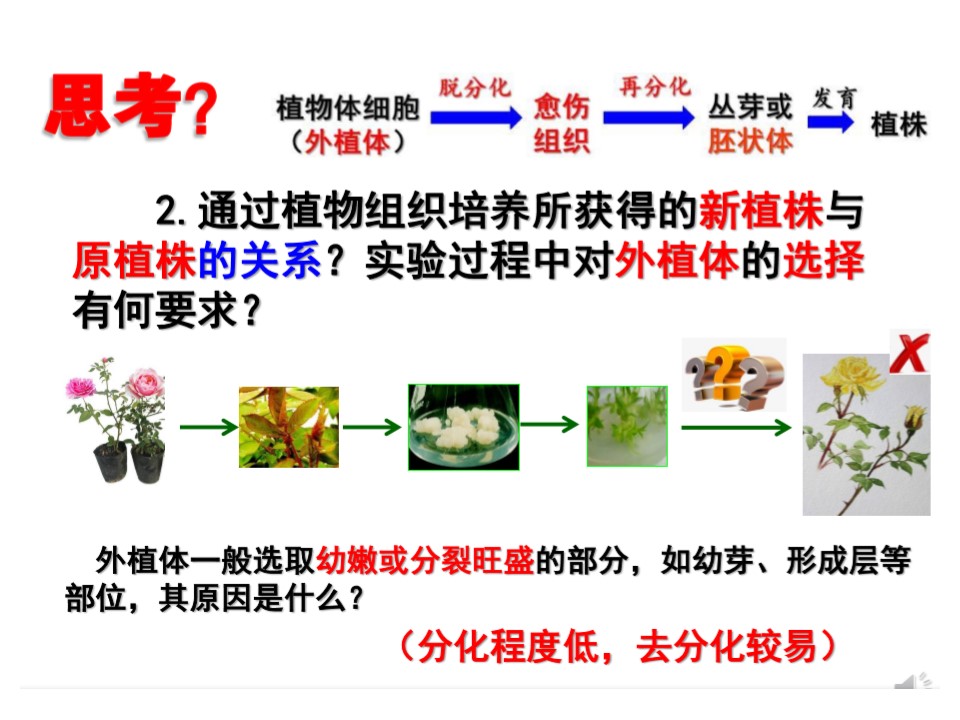 bd5566f069ab455496b20e82ba0f2cbc.JPG