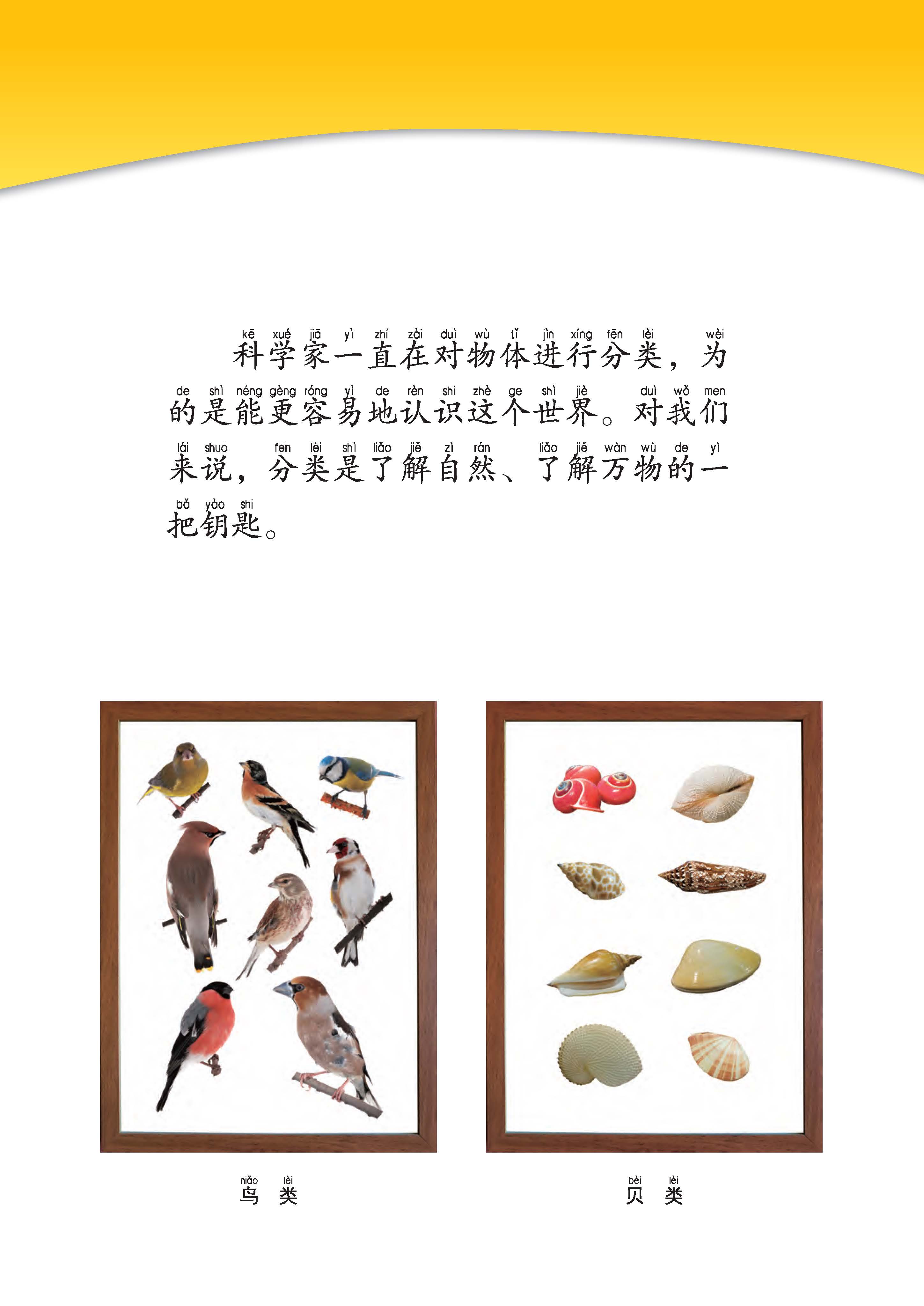 be8ba18571f14334a2f4cd6021cd91c1.jpg