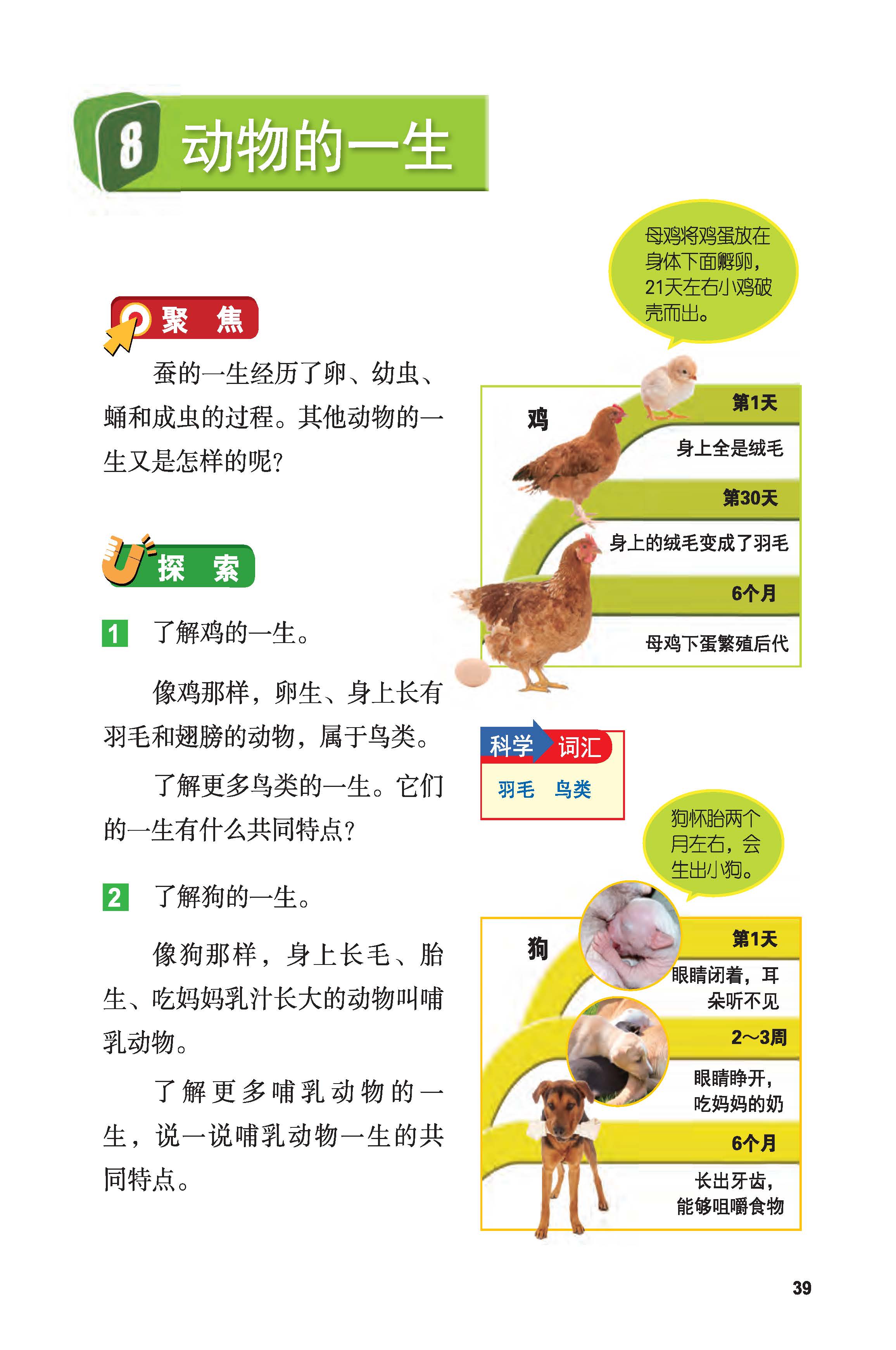 c197ab14b3e0470b92b3fbe0b4316b1b.jpg