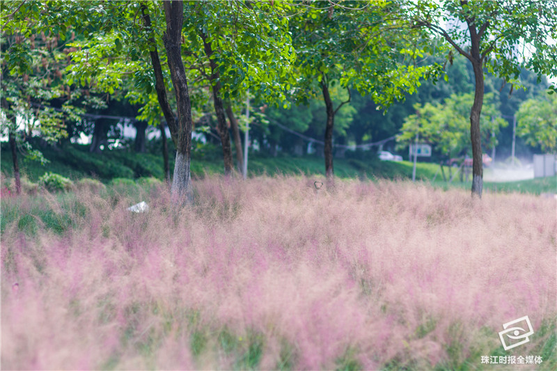 c1995559ee2d4e22bf528b4ac64a93e1.jpg