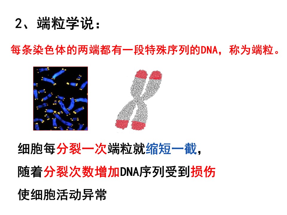 c28cfca391184a3ca33ff07e375a9579.JPG
