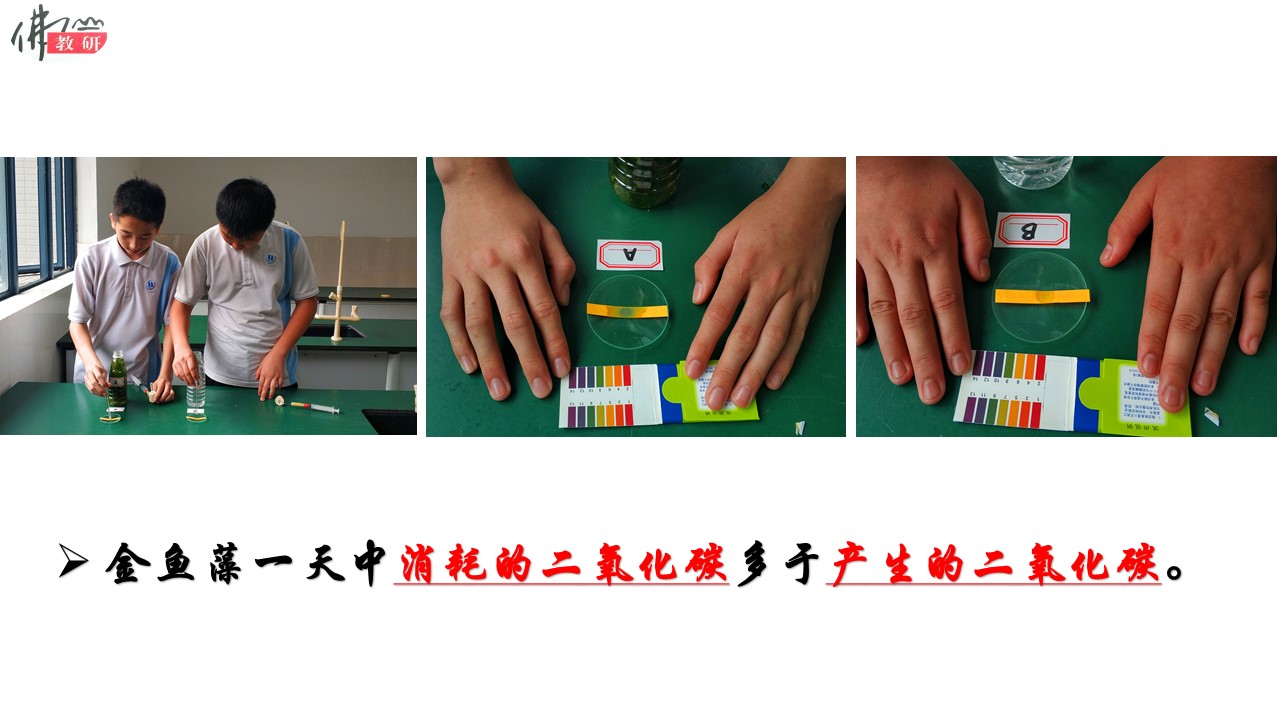 c5fea71d1a8f48588ab933e03c20366b.JPG