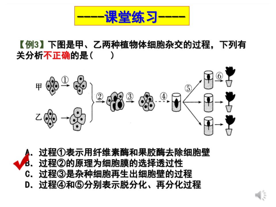 cdcfb5650c344adc994590cb583e7cc7.JPG
