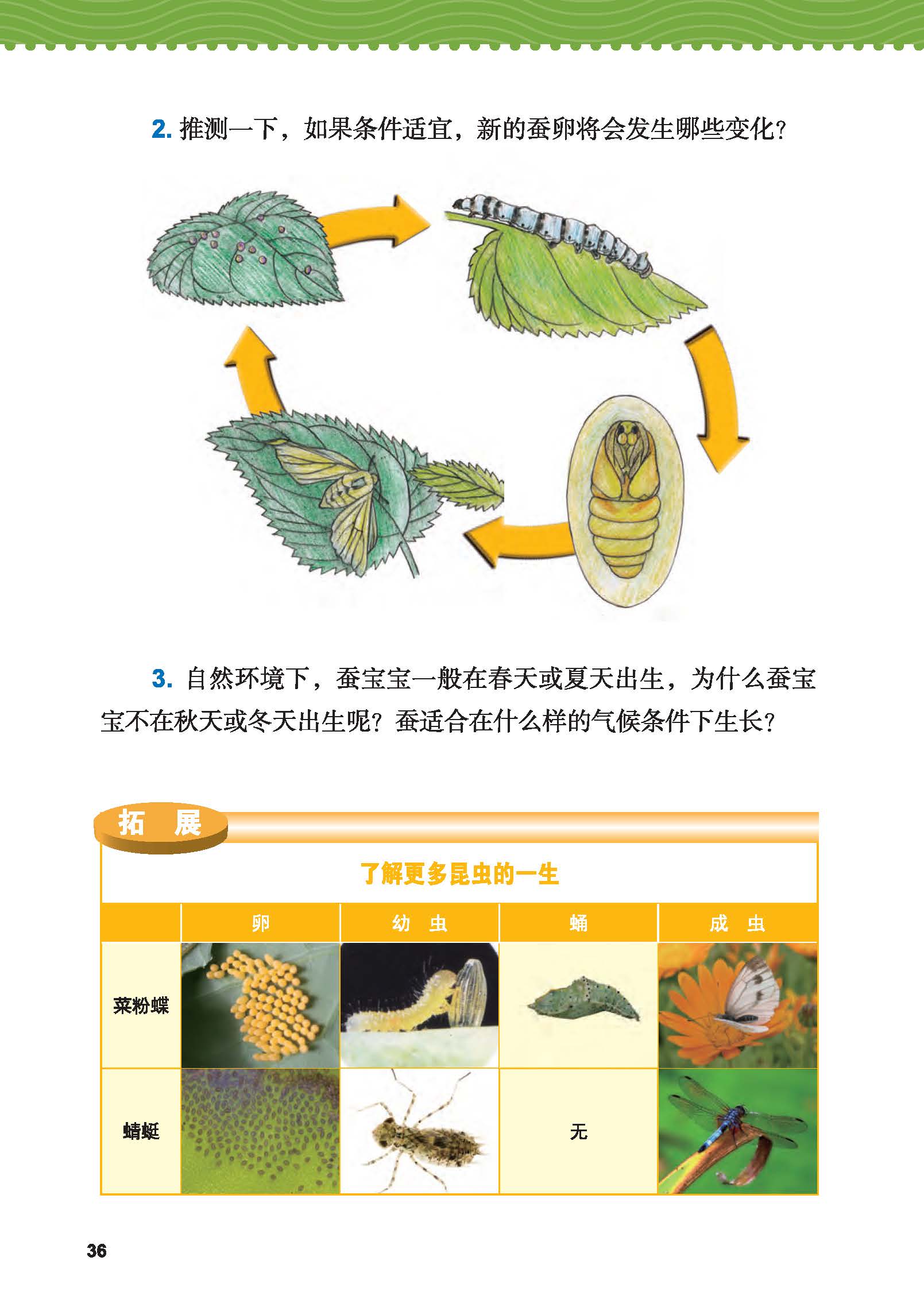 ce2ba231c0314ec09c158f4a11ae0e1e.jpg