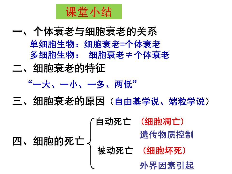 d03db157b30047eab6d7ebeff5af6268.JPG