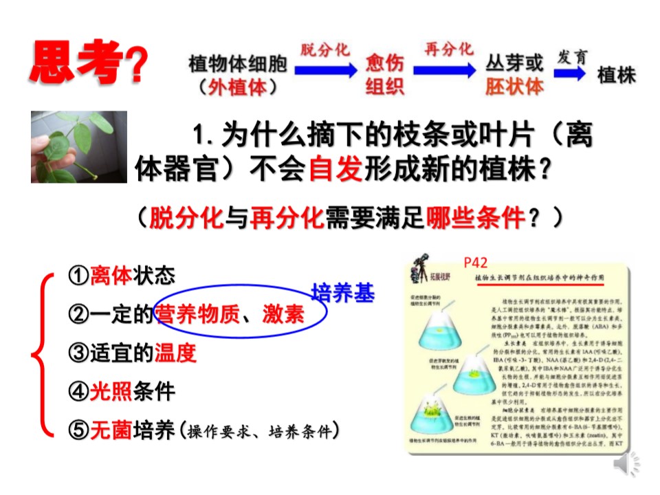 d90f7a42d9c247e590a2c318dbc8e269.JPG