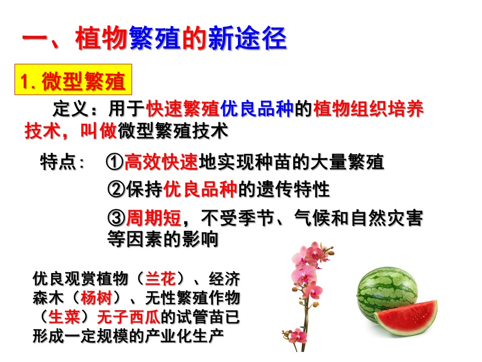 da041569a19a4605a23f7faac53c3fb7.JPG