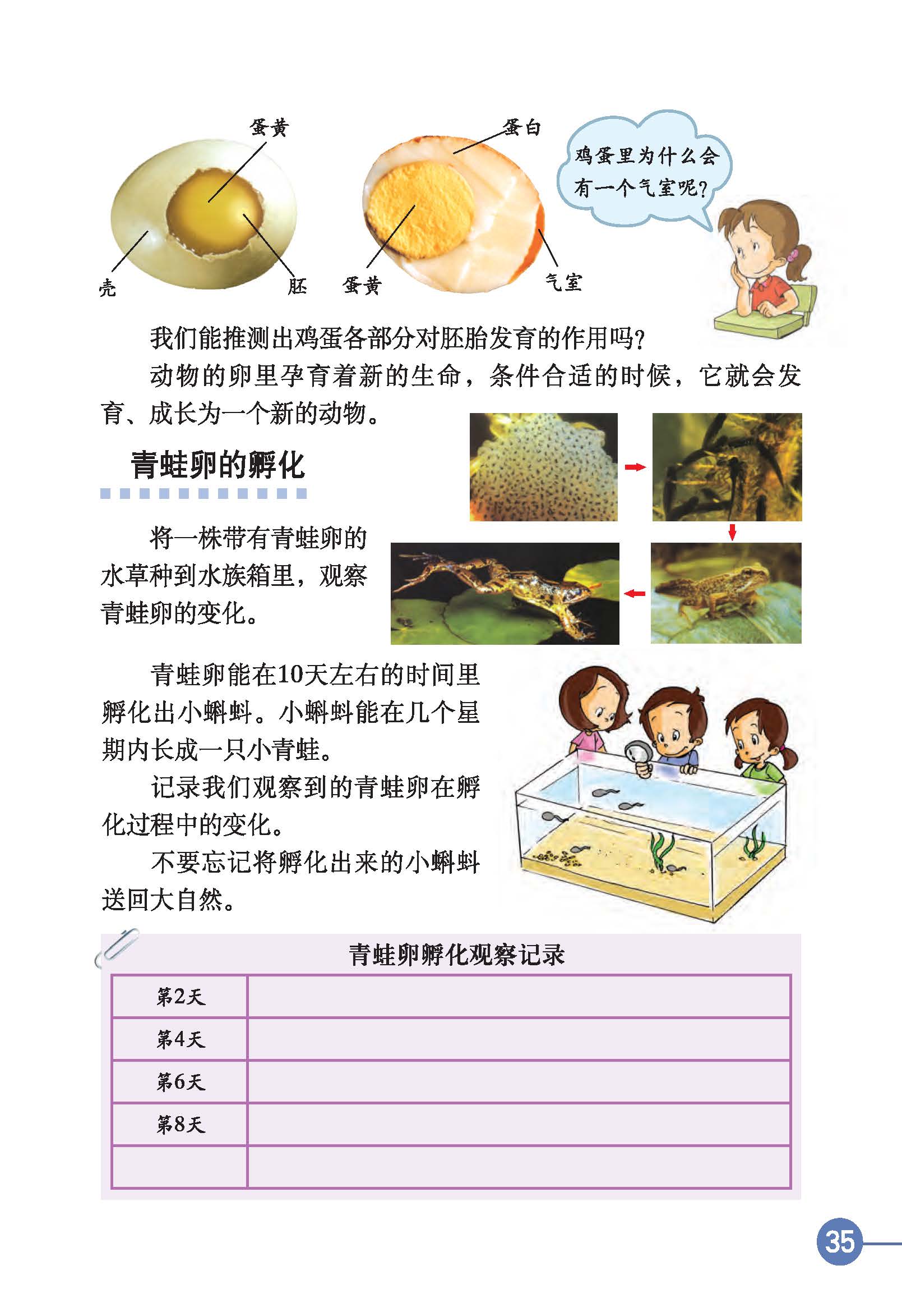 e03d4ea1510d45c18cbe1b4e1b8a79a9.jpg
