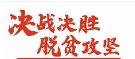 e1fbcf213bba4877a949cae5e46b0592.png