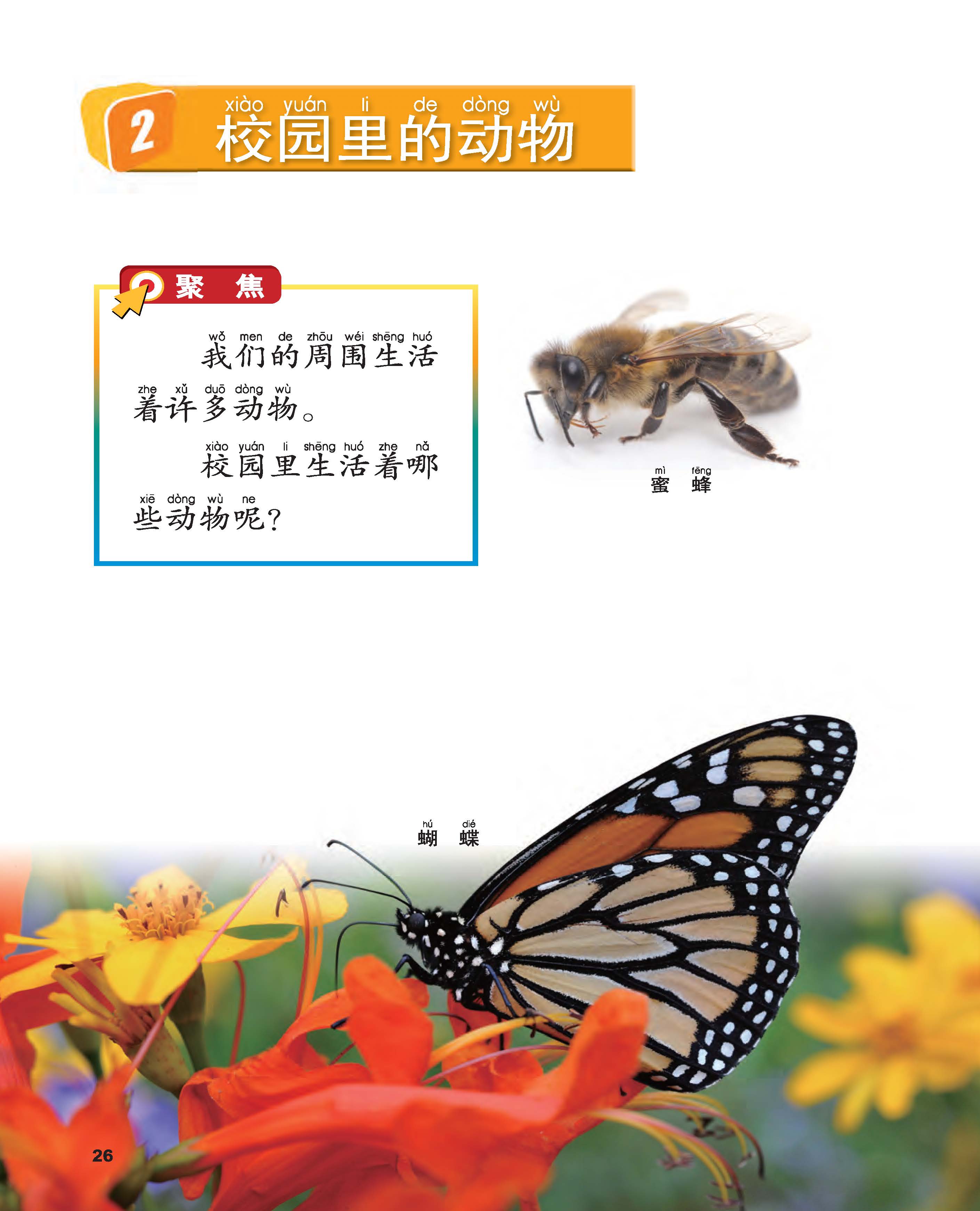 e37fb81b76434f3982f0a5d3d8213d9e.jpg