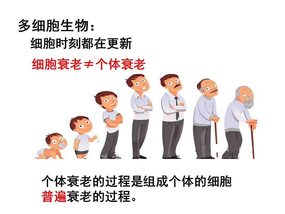e4f09f6773a24c6991a14ab28c145162.JPG
