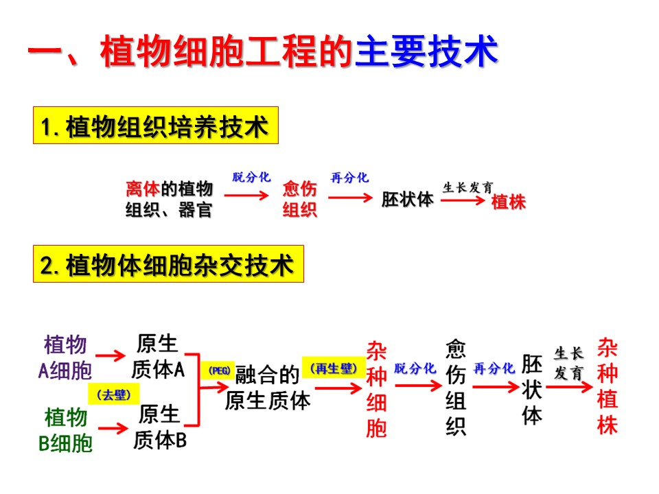 e6649c338d124aaeb11f60db5beffee8.JPG