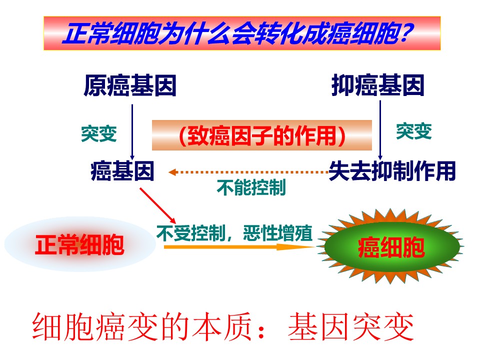 eb6cc2b10ad245e9b5697ba986c66384.JPG