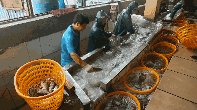 ed264ce21feb457d96e98e9f9b08b541.gif